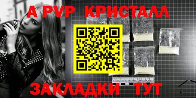 стаф Камень-на-Оби