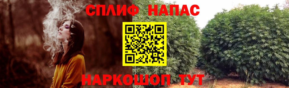 Конопля марихуана Лянтор